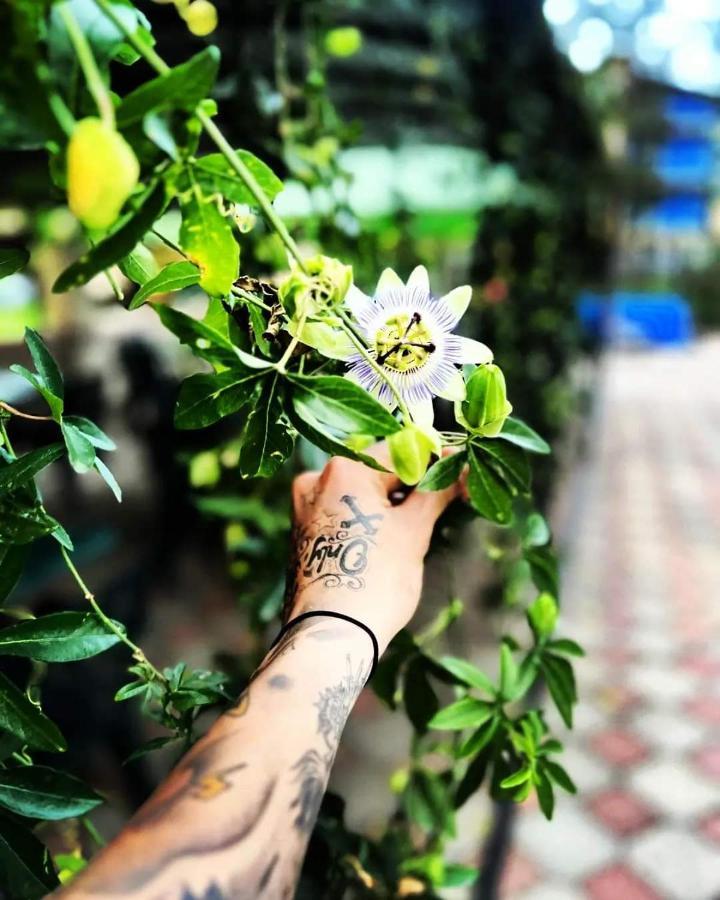 Hotel Lotus 乌雷基 外观 照片