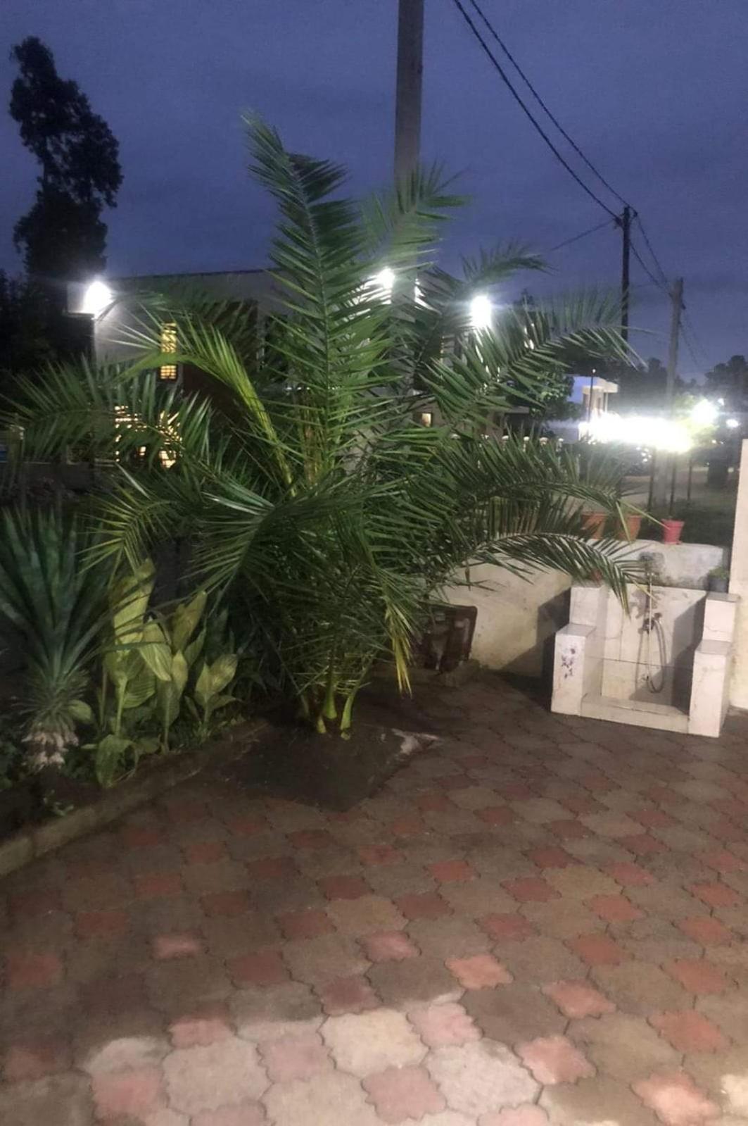 Hotel Lotus 乌雷基 外观 照片